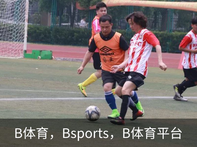 B体育，Bsports，B体育平台介绍
